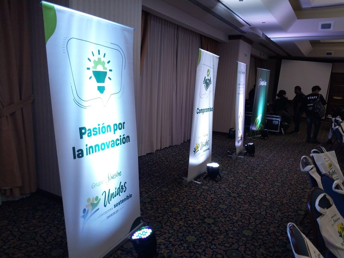 Iluminación Par LED instalada por AV Sonido en un evento corporativo